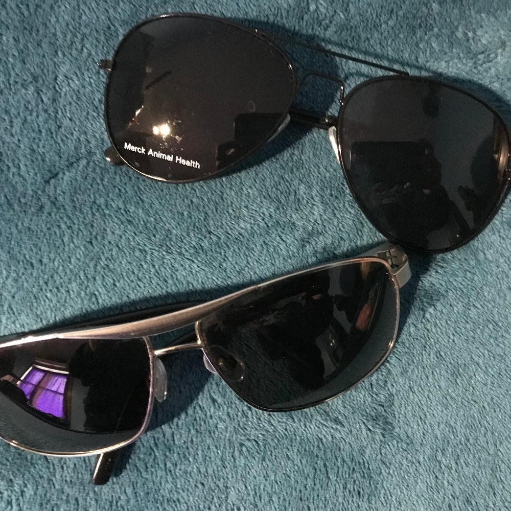 2 pairs of black shades
